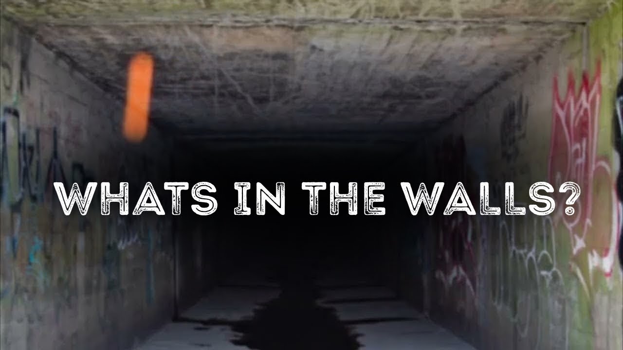 True Scary Stories About Strange Discoveries