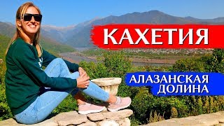 КАХЕТИЯ, ГРУЗИЯ: что посмотреть, экскурсия из Тбилиси, Алазанская долина, Цинандали