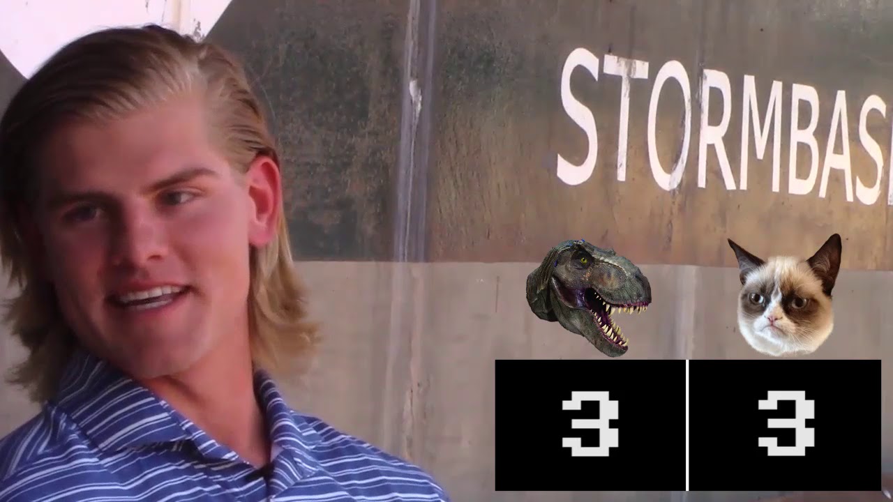 T-Rex vs. 1 Million Cats: The Final Decision