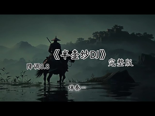 半壶纱DJ版 降调0.8完整版 #抖音最好听的歌曲2024 🔥