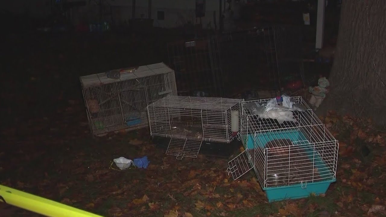 'Horrific living conditions' in New Jersey animal house