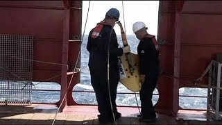 Missing Flight MH370 'on autopilot when disappeared', experts say