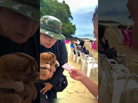 Slow loris #shortvideo #animals #adoptstrays #funnyanimals #cute #cat #shortsvideo #shorts