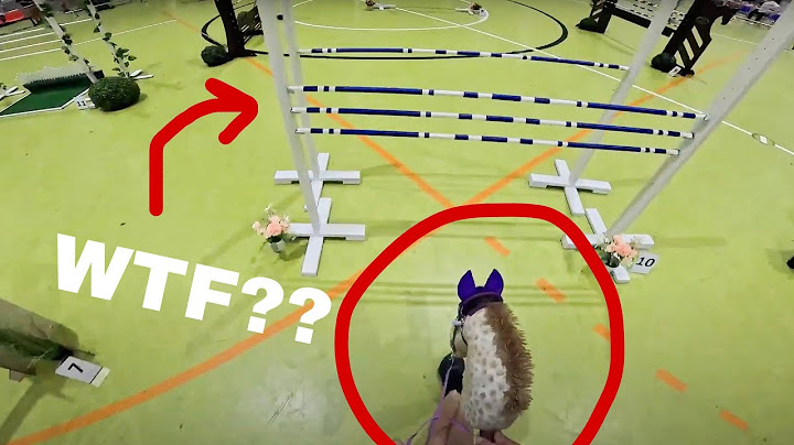 Insane hobbyhorse jumping with GoPro