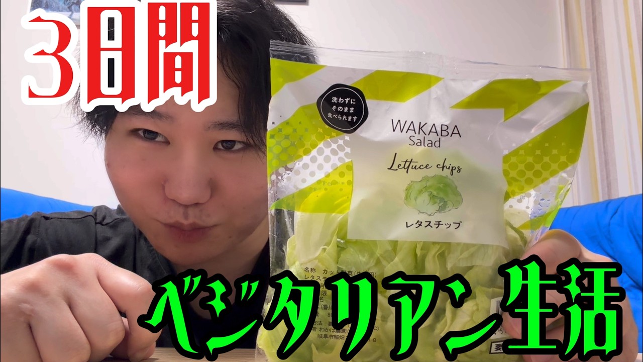 【体験】3日間ベジタリアン生活したら、野菜に目覚めました！！