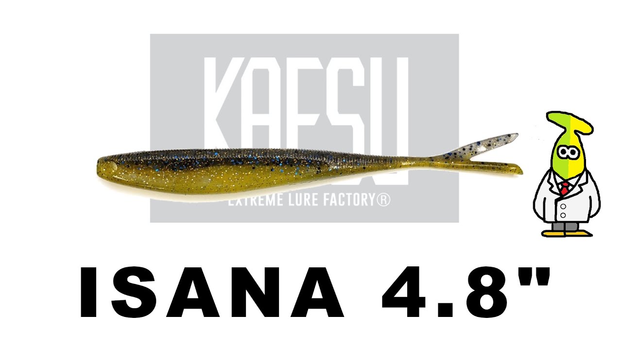 ISANA 4 .8