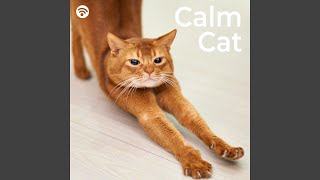 Restful Rhythms: Calming Tunes for Contented Kitties