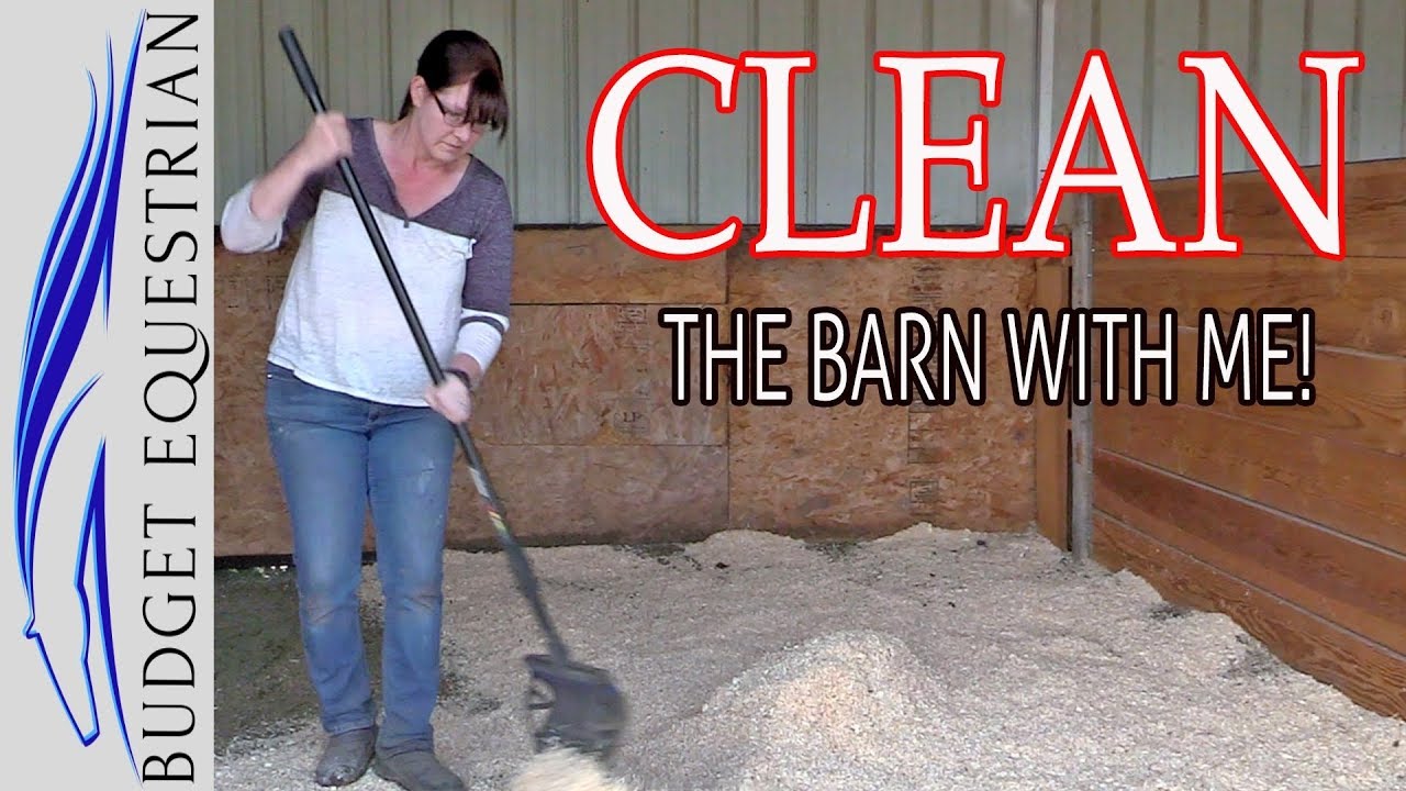 Cleaning Motivation | Clean With Me | Cleaning The Barn - YouTube