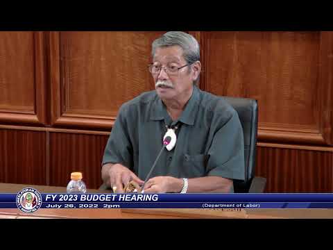 FY 2023 Budget Hearing - Senator Joe S. San Agustin - July 26, 2022 2pm DOL