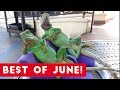 Funniest Pet Reactions & Bloopers of June 2017 | Funny Pet Videos