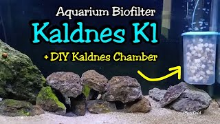 Kaldnes K1 Media Bio Filter Aquarium dan DIY Wadah Kaldness