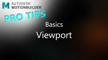 MotionBuilder ProTips - Basics - Viewport