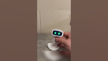 Đây là biểu cảm của một chú robot, khi bị người chủ lắc 7749 vòng.