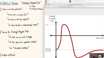 Math Modeling of Neurons: Big Picture (Pt 1)