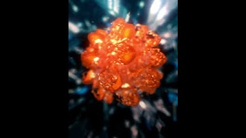 After Effects  Element 3D Abstract