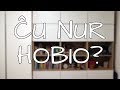 Ĉu EO estas nur hobio? | Esperanto vlogo