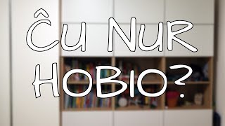 Ĉu EO estas nur hobio? | Esperanto vlogo