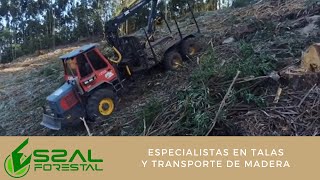 ESSAL Forestal - Especialistas en tala y transporte de madera
