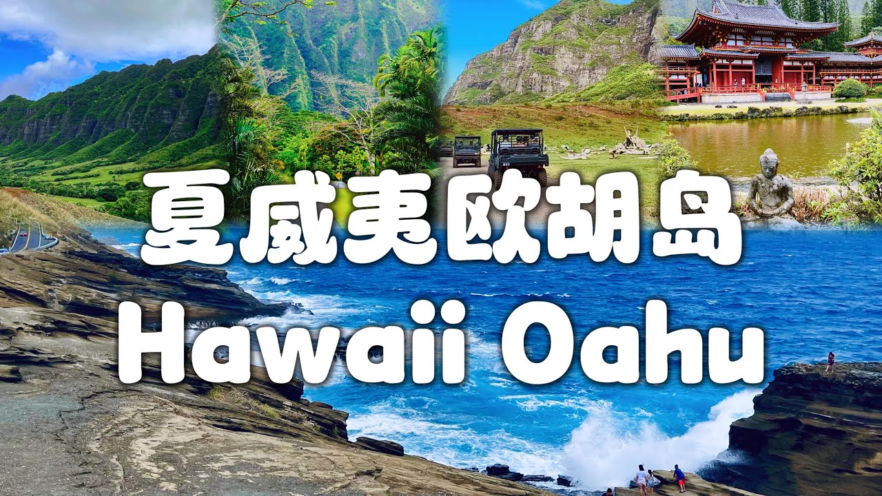 夏威夷旅游vlog 欧胡岛｜Wakiki｜恐龙湾｜鲨鱼湾｜古兰尼牧场｜航拍｜七天六晚全记录前情预告！