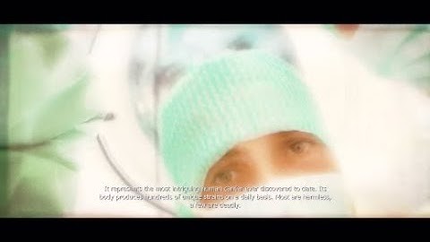 PROTOTYPE WEB OF INTRIGUE TARGET - Dr. Patricia Martin