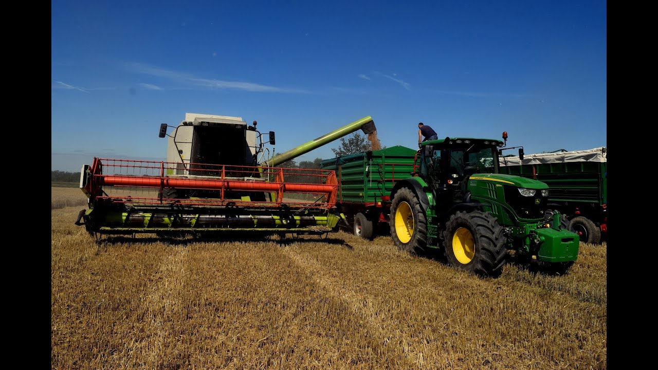 Żniwa 2016 - Rzepak & Pszenżyto - Claas - John Deere - Chomęcice