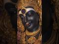 🧿#divine🙏#peace🫰#lakshmi💰#positivevibes😍#real💥#youtubeshort🤳#shortsfeed⛄