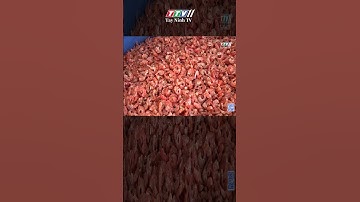 Nghề làm tôm khô được đề nghị là văn hóa phi vật thể quốc gia #Shorts