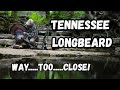 Gobbler DUCKS THE SHOT! Tennessee Turkey Hunting!
