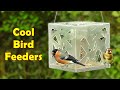 Videos for Cats to Watch : Birds on Cool Bird Feeders