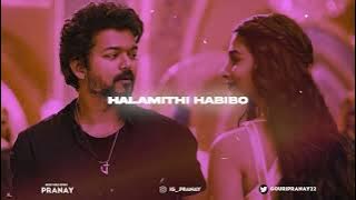 Halamithi Habibo (Slowed   Reverb) | Beast