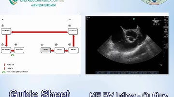 091 Guide Sheet for Basic TEE examination KAMC