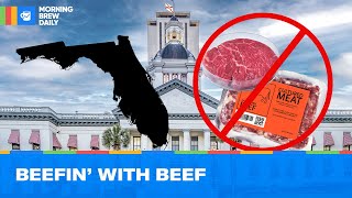 Florida Bans Lab-Grown Meats screenshot 5