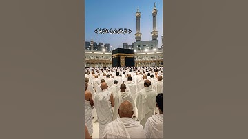 أَمْ يَقُولُونَ افْتَرَاهُ #عبدالرحمن_مسعد #shortvideo #قران_كريم #تلاوة #allahquran #quran  ۖ