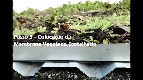 Como fazer um telhado verde barato?