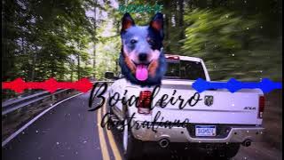 Cleber e Gusttavo feat Tarcísio do Arcordeon - Sentando e Xingando (BOIADEIRO AUSTRALIANO)