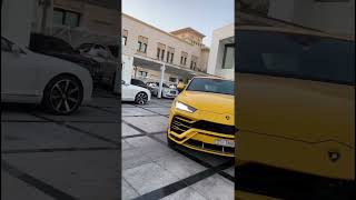 Custom Modify Lamborghini Urus | Luxurious Wild SUV in the World | Lamborghini URUS #Shorts