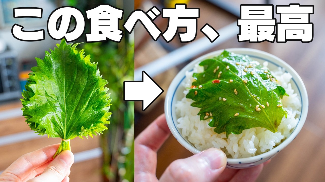 5分で作れる【ヤバい大葉漬け】米が一瞬で消える。包丁やまな板いらず!