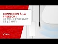 Connexion  la freebox  le cpl lethernet et le wifi