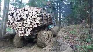 Timberjack 810B zrywka drewna