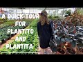 Where to buy affordable plants?-A quick tour on FINE CITY ||Enjoying moments with NIÑA