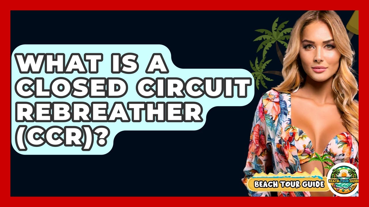 What Is A Closed Circuit Rebreather (CCR)? - Beach Tour Guide
