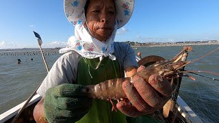 雄捕鱼几十年头次见这么大的虾，个头堪比大龙虾，吃一条就饱了