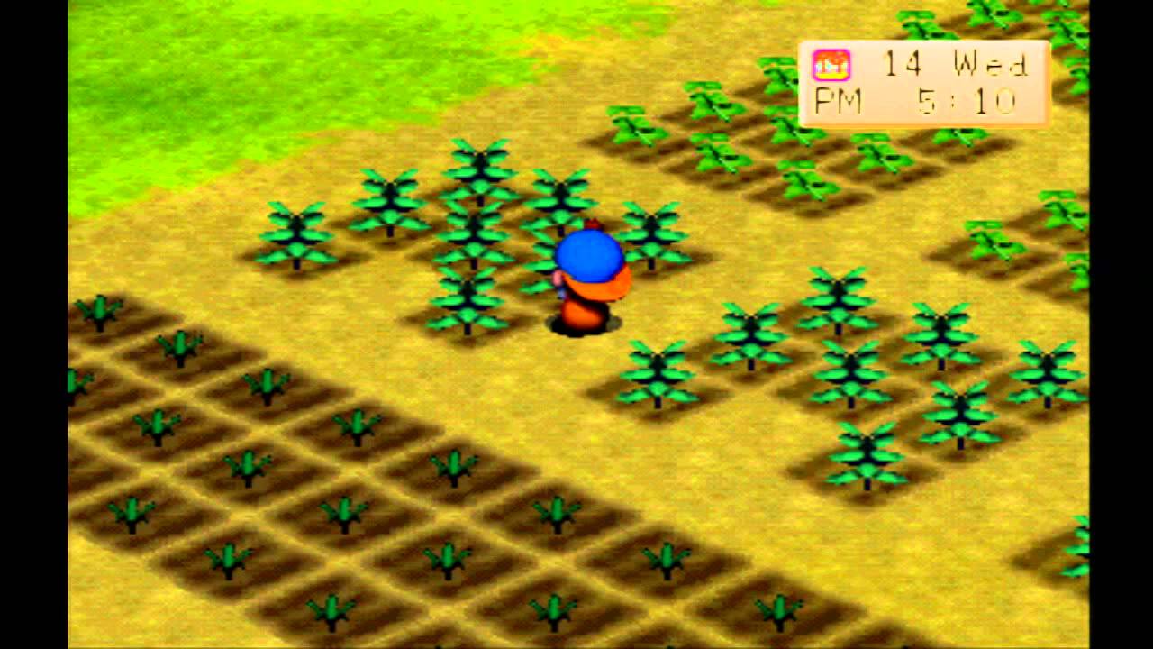Harvest Moon: Back to Nature - 015 - Autumn 11 ~ Autumn 16 - YouTube