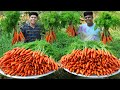 100 kg CARROT HALWA | Simple and Delicious Gajar Ka Halwa Recipe | Making In Our Village
