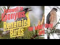 Ep. #16: Renaming Birds for What They Are