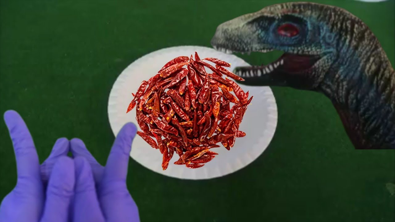 MonsterMeal !!!  Monster  And  Dinosaur  Eating  RED CHILLI  . ASMR eating sounds face - YouTube