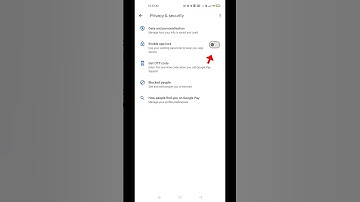 Google Pay Lock Fingerprint Enable Setting | How To On Setting Google Pay Lock #shorts.