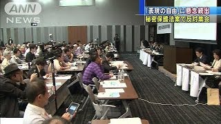「秘密保護法案」反対集会・・・表現の自由を懸念（13/10/24）