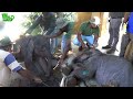 Baby elephant left behind by the herd is injured and sad until Awesome people showed up
