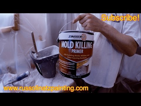 How to kill Mold and Mildew Stains on a Shower Ceiling (Part 2) - Zinsser Mold Killing Primer
